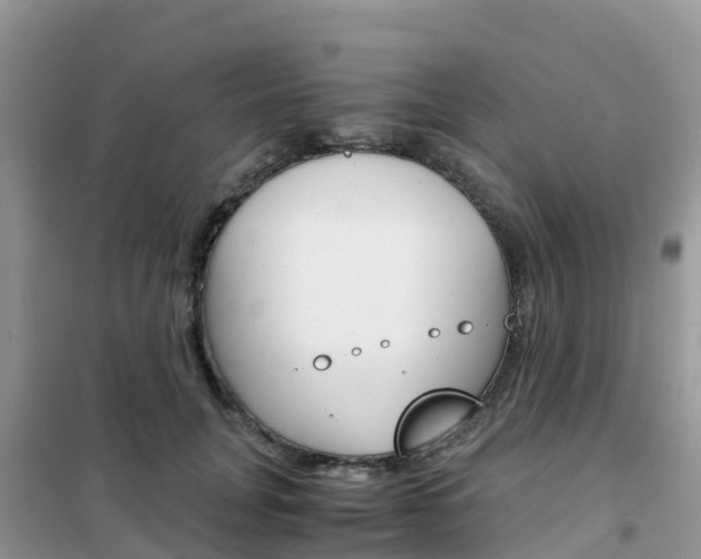 X0000102370751200808011023