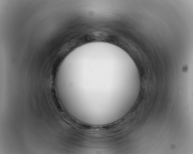 X0000102370752200808011023