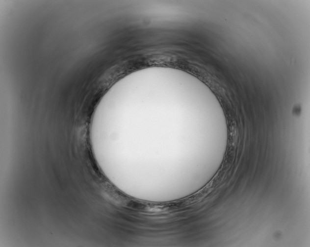 X0000102370753200808011023