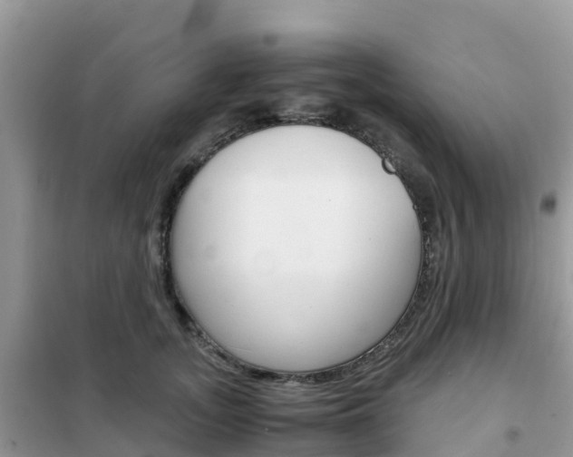 X0000102370755200808011023