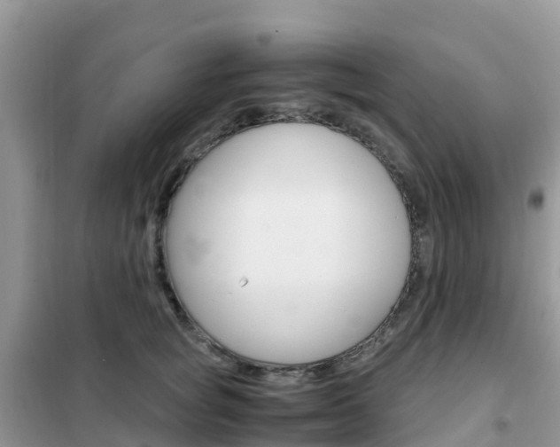 X0000102370757200808011023