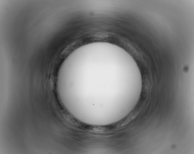 X0000102370758200808011023