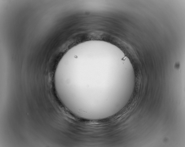 X0000102370759200808011023