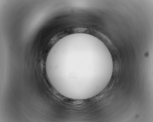 X0000102370761200808011023