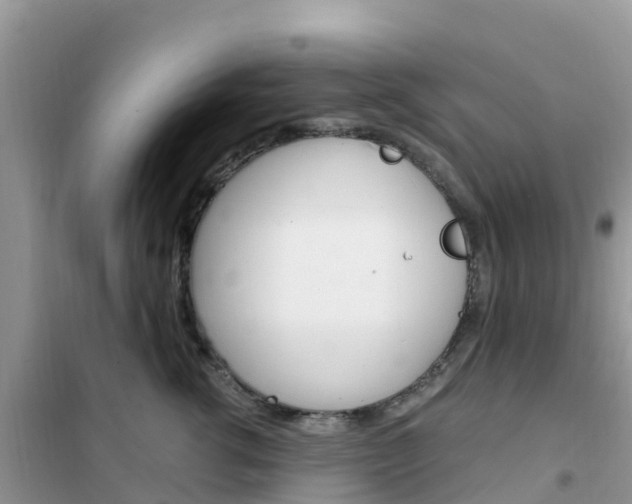 X0000102370762200808011023