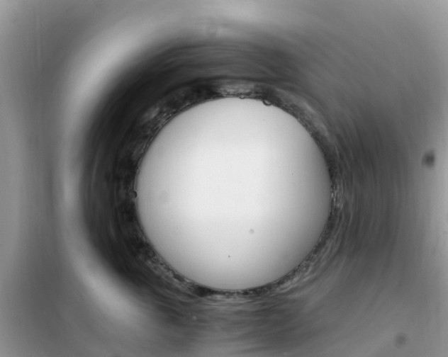 X0000102370763200808011023