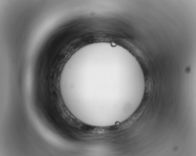 X0000102370764200808011023