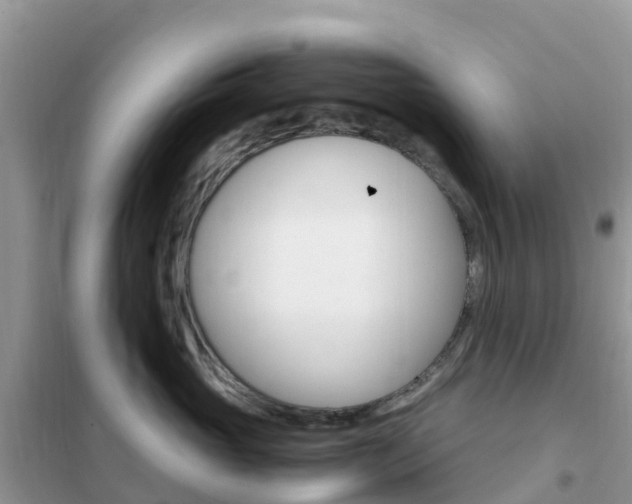 X0000102370765200808011023