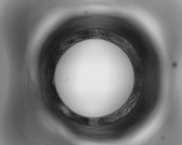 X0000102370766200808011023