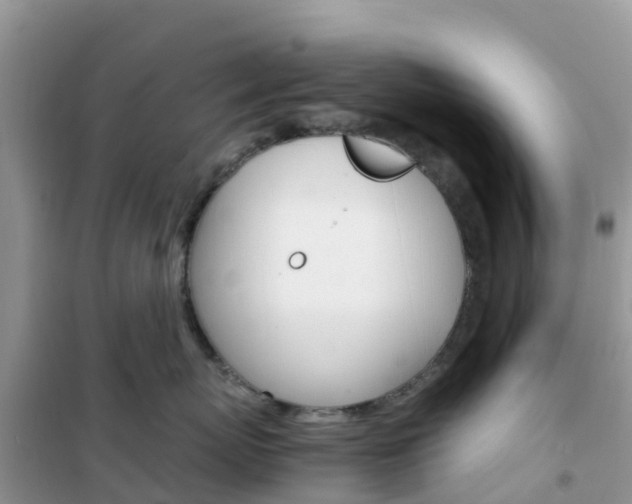 X0000102370767200808011023