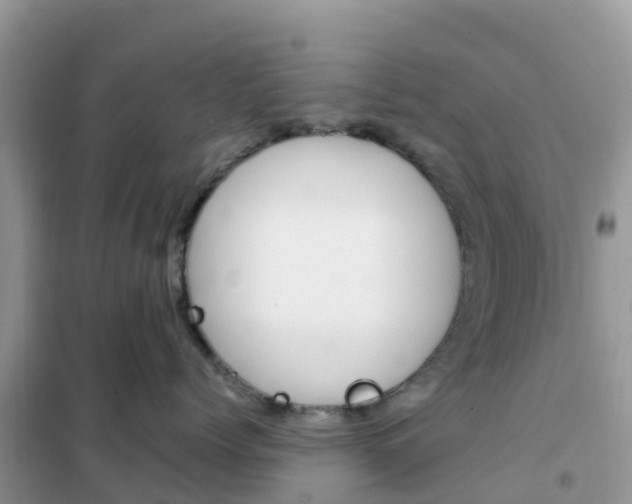 X0000102370768200808011023