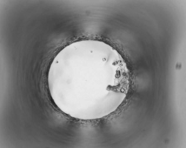 X0000102370769200808011023