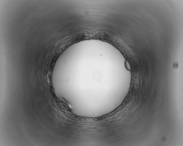 X0000102370770200808011023