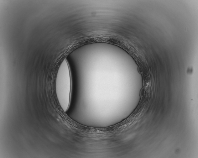 X0000102370772200808011023