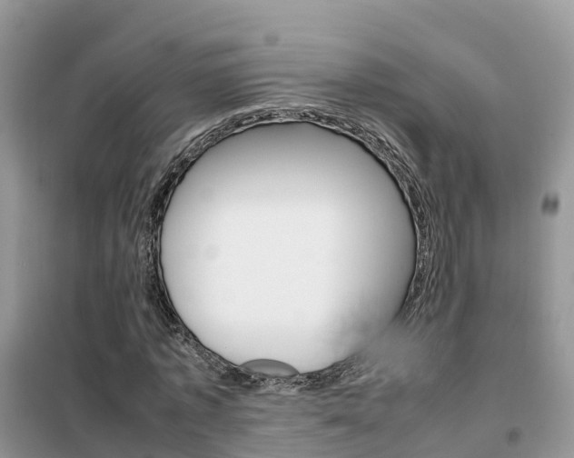 X0000102370773200808011023