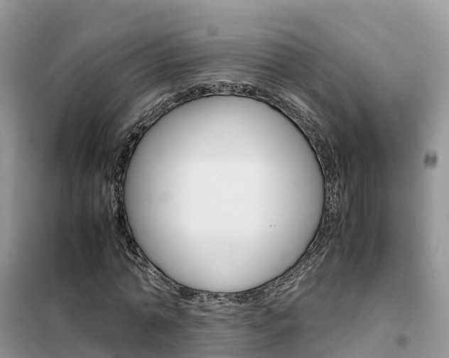 X0000102370774200808011023