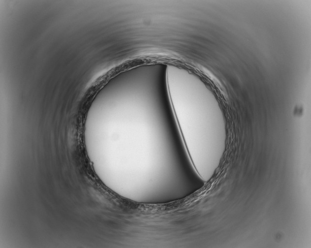 X0000102370775200808011023