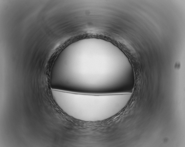 X0000102370776200808011023