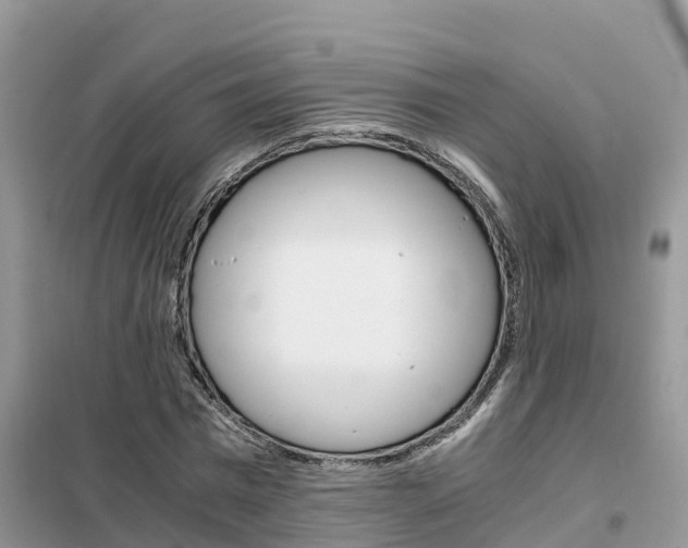 X0000102370777200808011023