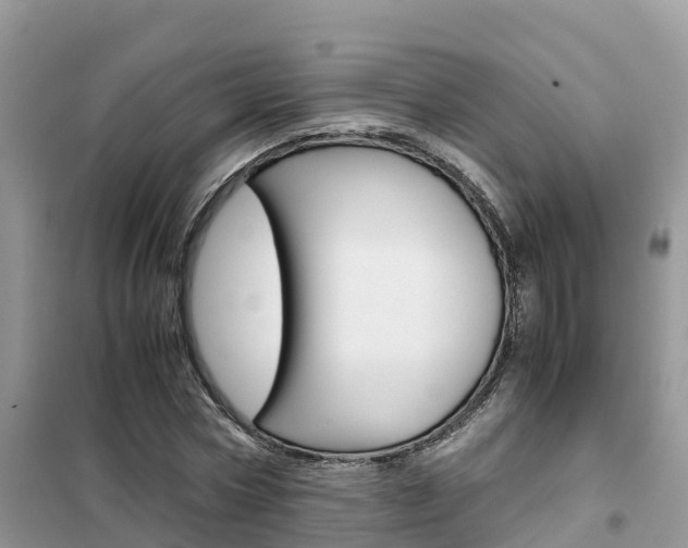 X0000102370778200808011023