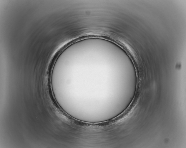 X0000102370779200808011023