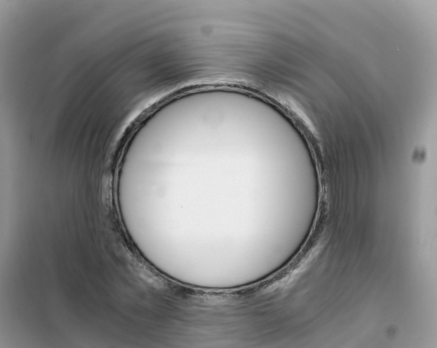 X0000102370781200808011023