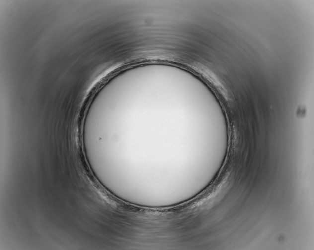 X0000102370782200808011023