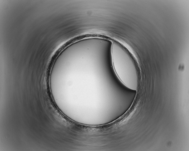 X0000102370783200808011023