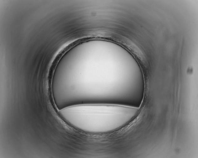 X0000102370784200808011023