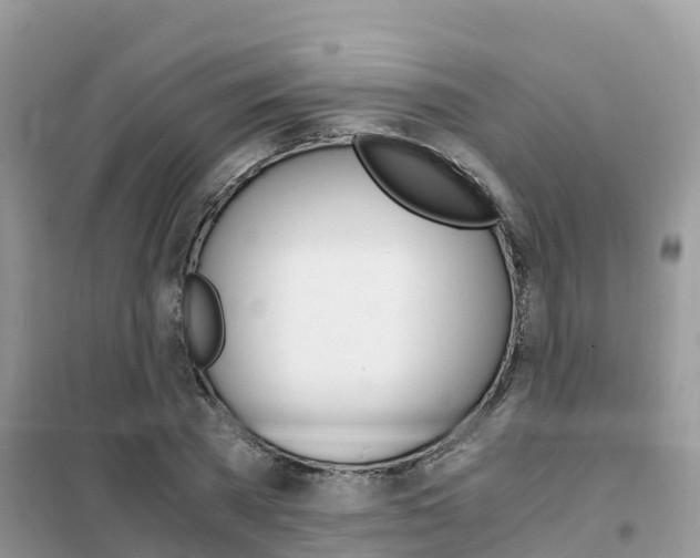X0000102370785200808011023