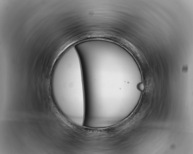 X0000102370786200808011023