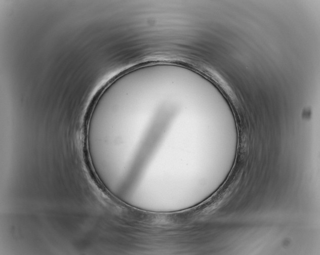 X0000102370787200808011023