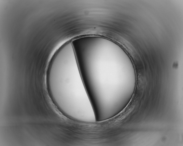 X0000102370788200808011023