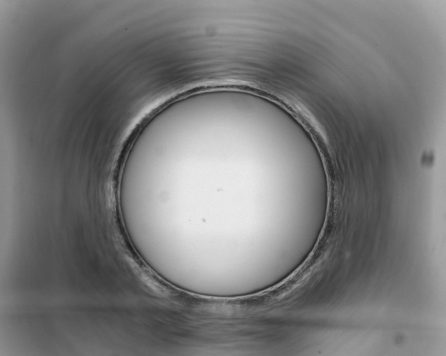 X0000102370789200808011023