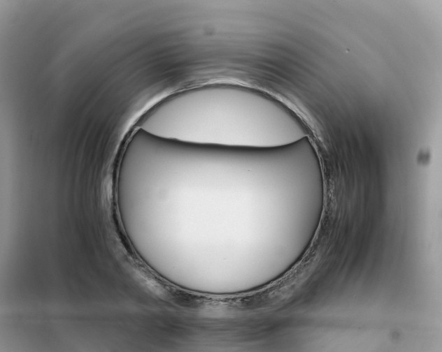 X0000102370790200808011023