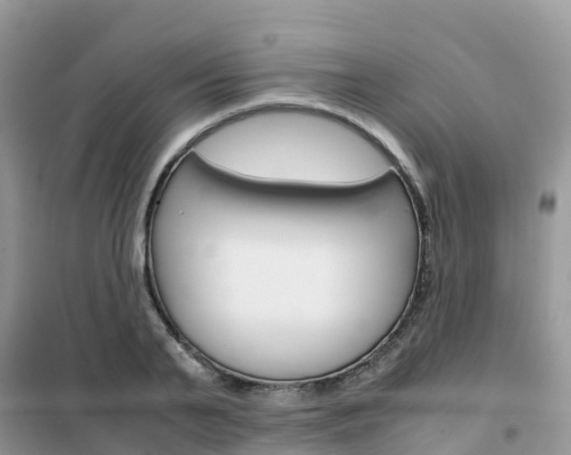 X0000102370791200808011023