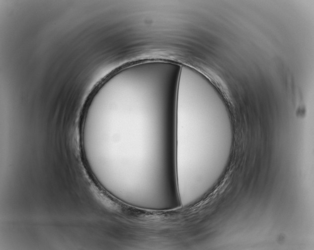 X0000102370792200808011023