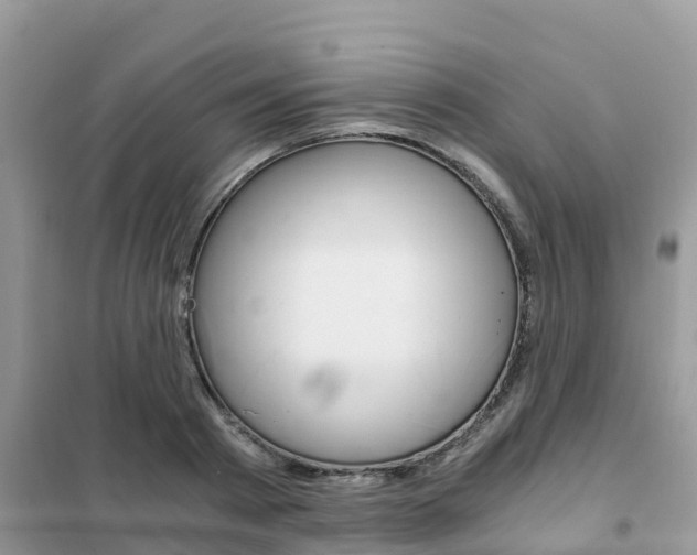 X0000102370793200808011022