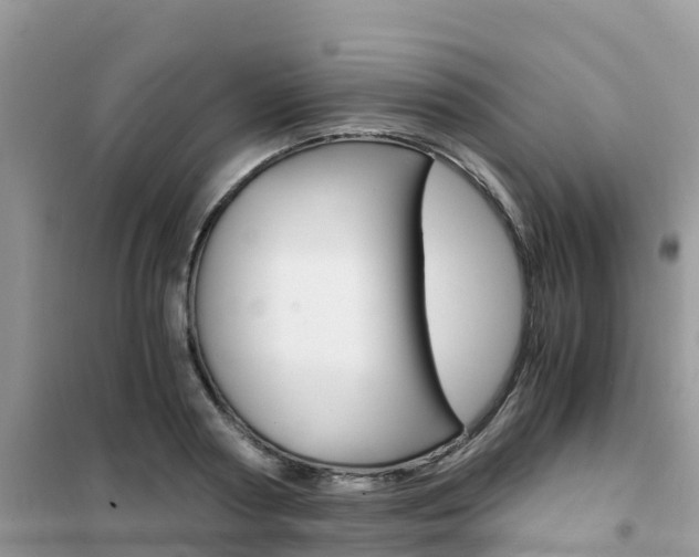 X0000102370794200808011022