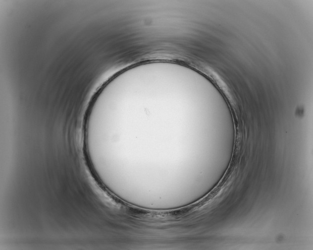 X0000102370795200808011022