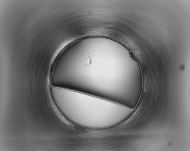 X0000102370796200808011022