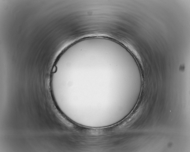 X0000102370797200808011022