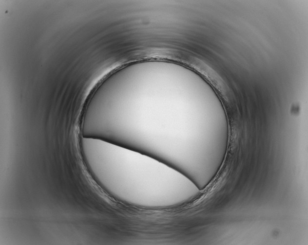 X0000102370798200808011022