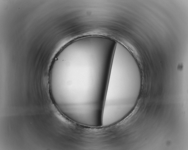 X0000102370800200808011022