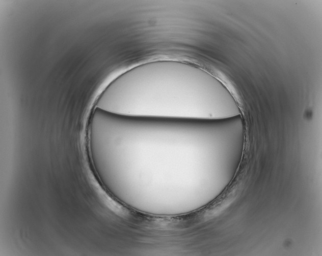 X0000102370803200808011022