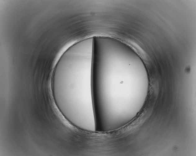 X0000102370804200808011022