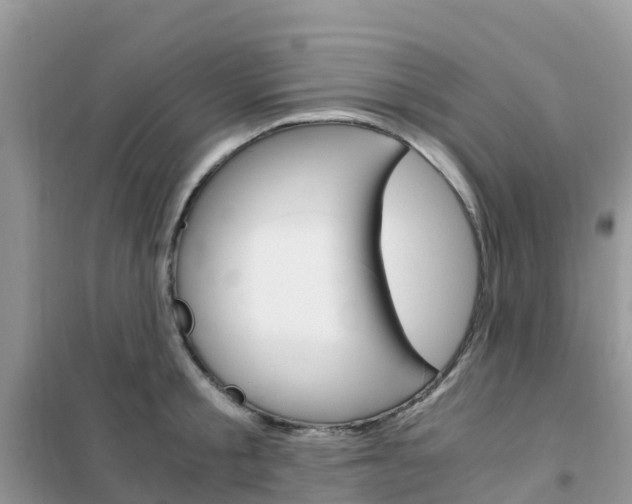 X0000102370805200808011022