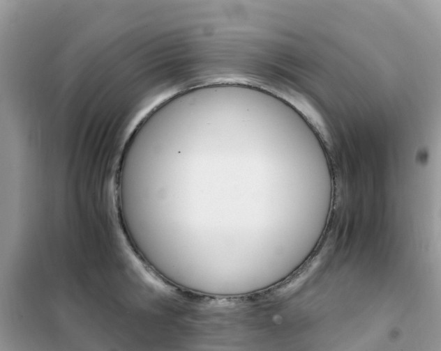 X0000102370806200808011022