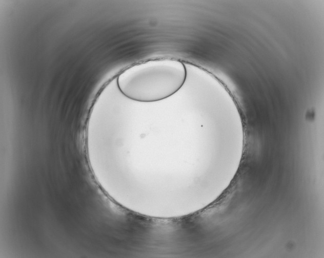 X0000102370807200808011022