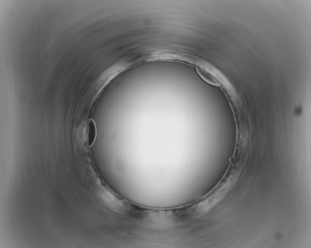 X0000102370809200808011022